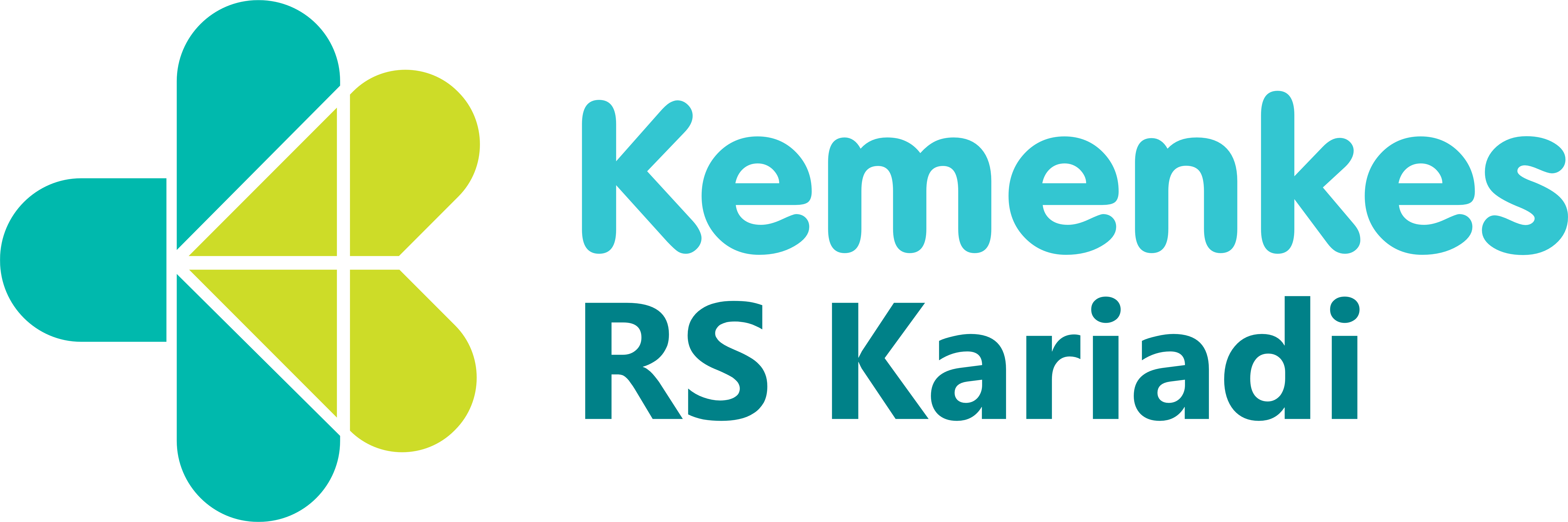 Logo RSUP Dr Kariadi